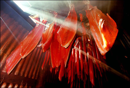 Image of the inside of a shed smokehouse. There are sides of Copper River salmon hanging from the ceiling and sunlight streaming in from a crack.
